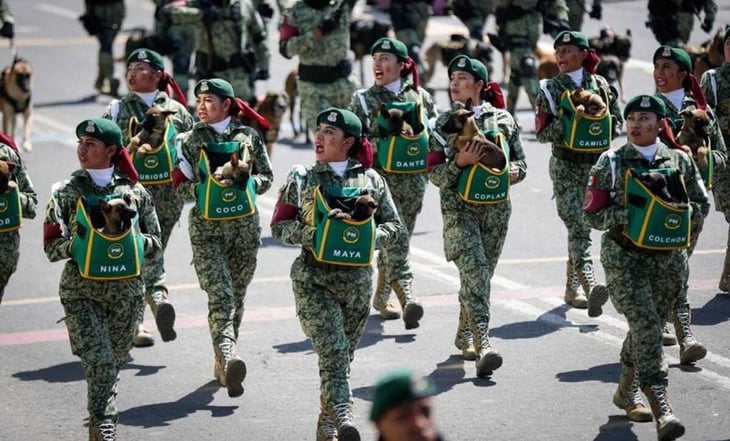 Diputados modifican Ley Militar para que haya “general secretaria” de la Defensa Nacional