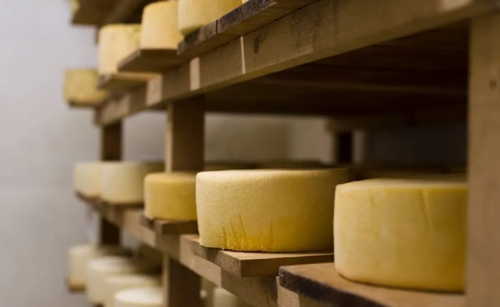 ¿Cuál es tipo de queso más saludable? Este es el que se recomieda consumir