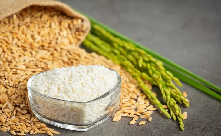 Cereales: diferencia entre arroz integral y arroz blanco ¿Cuál debes elegir?