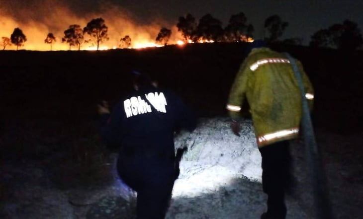 Incendio forestal consume 20 hectáreas en reserva ecológica entre Tlalnepantla y Tultitlán