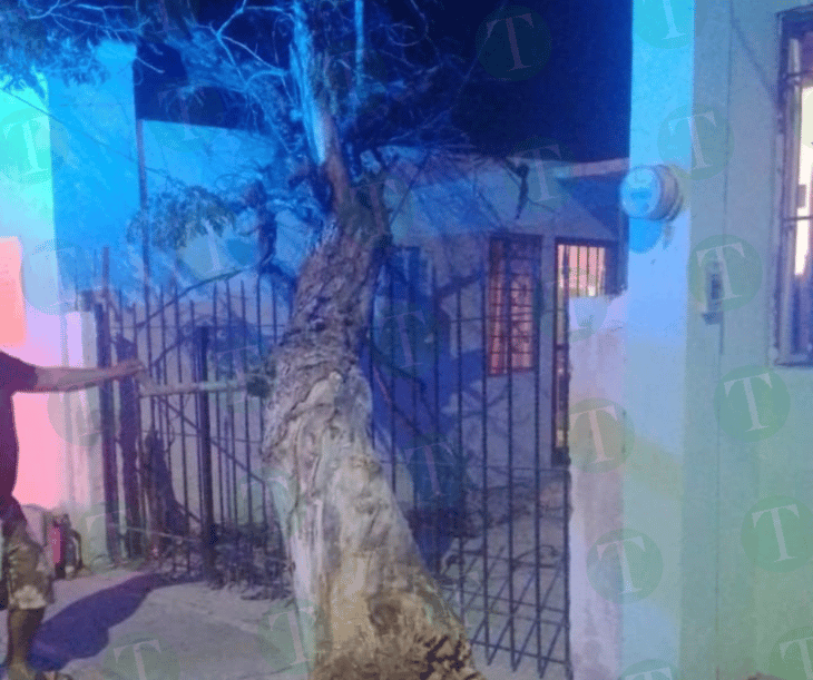 Fuertes ráfagas de viento desatan alerta en Monclova