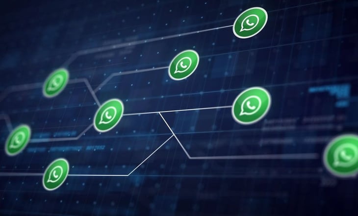 Por qué debes eliminar contactos antiguos en WhatsApp