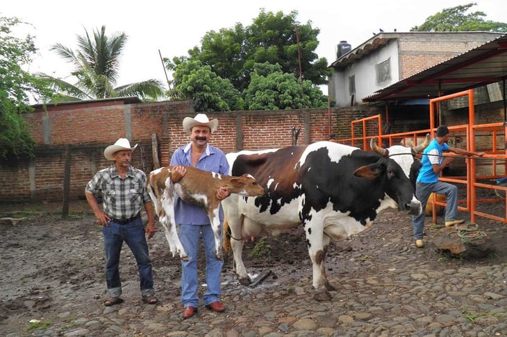 Productores de Coahuila preocupados por nueva regulación en exportación de ganado
