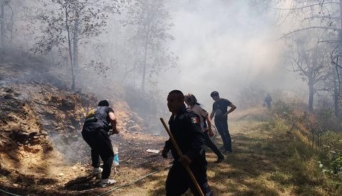 Incendios forestales mantienen en alerta a vecinos y autoridades en Hidalgo