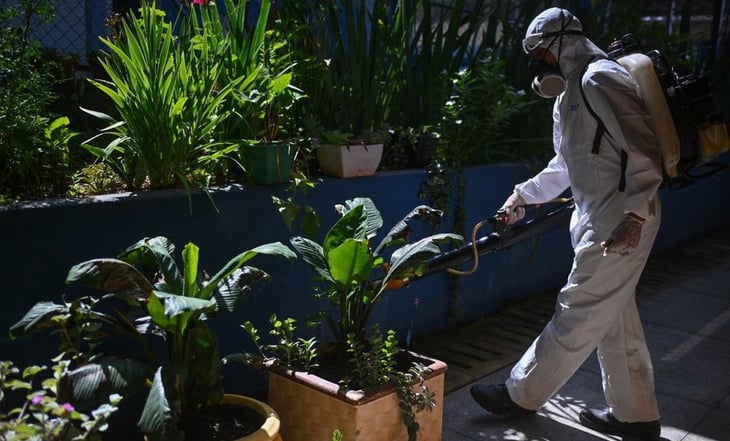 Epidemia de dengue en Latinoamérica enciende alarmas