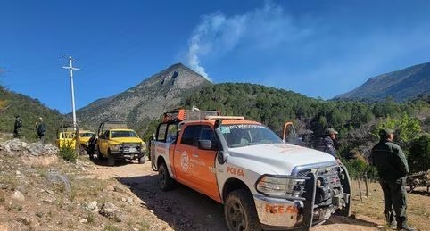 Incendio forestal consume 60 hectáreas en una zona montañosa de Nuevo León