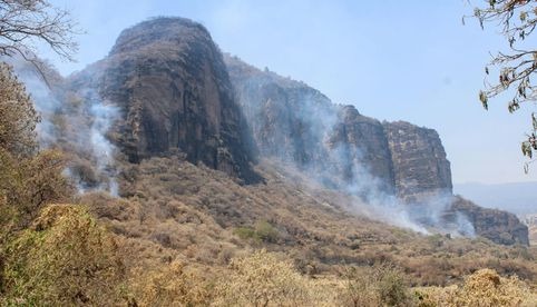 Fuego consume 154 hectáreas de corredor biológico Chichinautzin en Tlayacapan