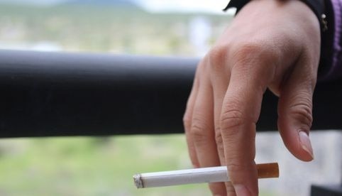 Diputada del PAN propone establecer que los filtros de los cigarros sean biodegradables