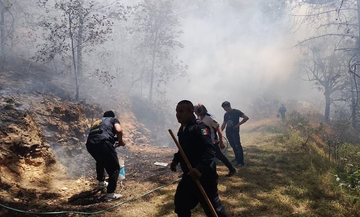 AMLO acusa a opositores de usar incendios forestales para atacarlo