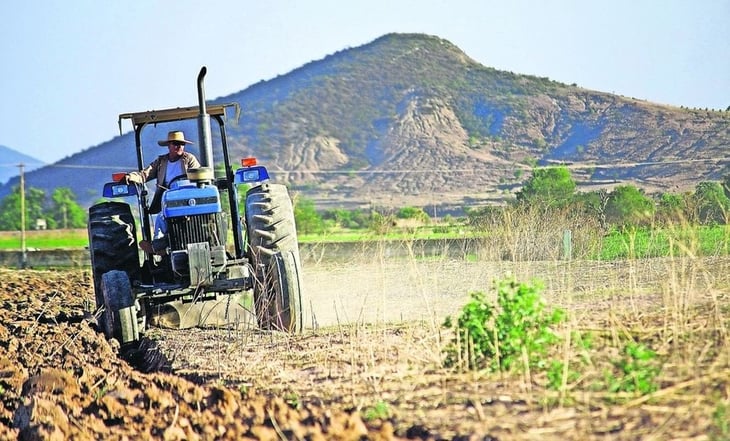 Buscan con laboratorio mejorar productividad del sector agropecuario de Baja California 