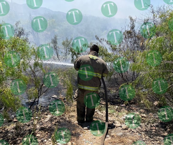Incendio en arroyo de la colonia Margarito Silva moviliza a los Bomberos