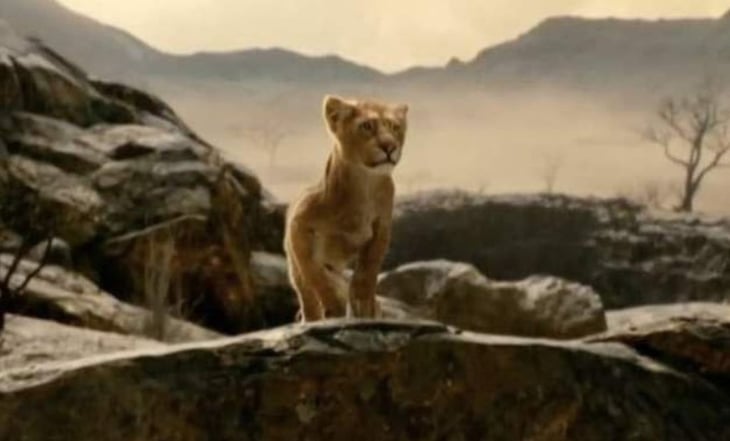 'Mufasa': Se filtra la primera imagen de la precuela de 'El Rey León'