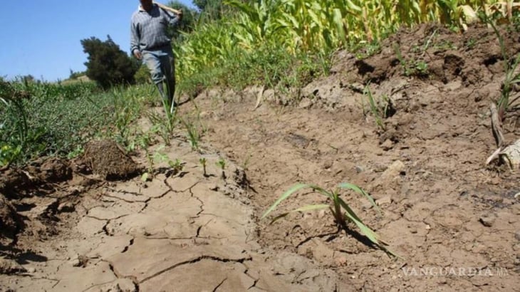 Municipio implementa medidas preventivas para posible sequía