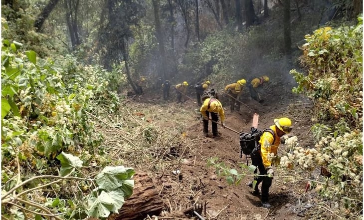 Incendio forestal en el Nevado de Toluca es controlado al 100%