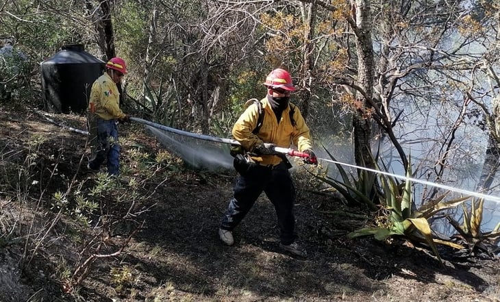 Extinguen incendios forestales en El Mante y Miquihuana, Tamaulipas