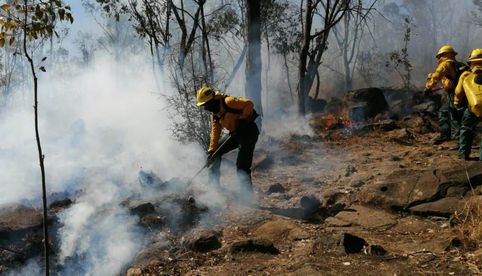 Activan alerta atmosférica en Zapopan por incendio forestal en el Bosque La Primavera