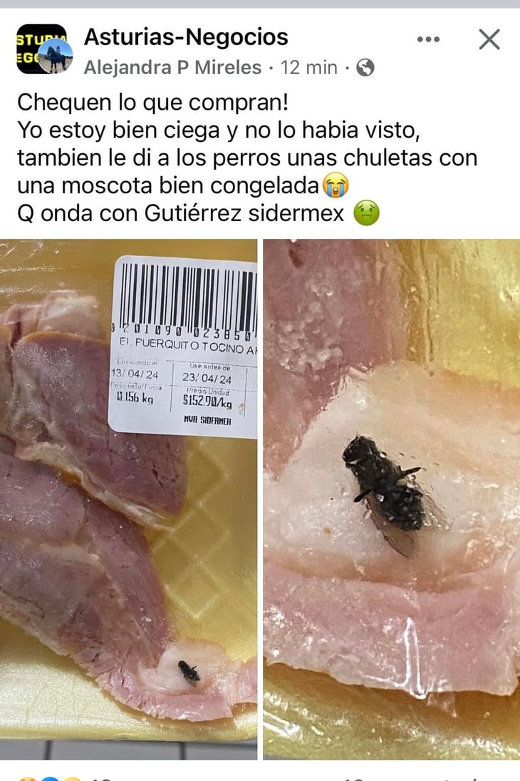 Cliente encuentra una mosca congelada en chuleta de cerdo que compró en Gutiérrez