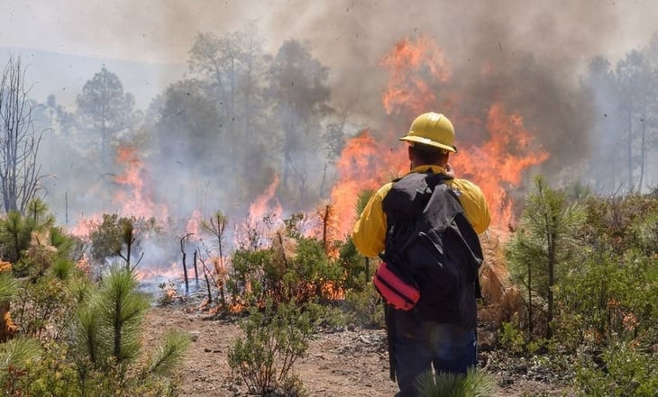Se han registrado más de 100 incendios forestales en Chihuahua en lo que va del 2024