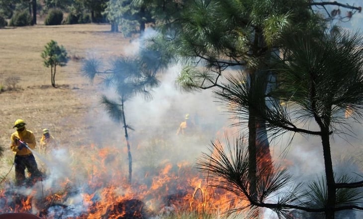 Muere brigadista en incendio forestal en Sinaloa