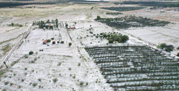 Las heladas y granizadas han causado daños significativos en las huertas de manzana en Arteaga