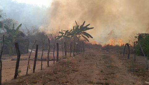 Muere segundo brigadista tras quedar atrapado en incendio forestal en Concordia, Sinaloa