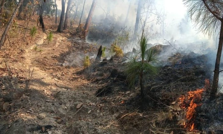 Ya se tiene control de 60% en incendio forestal de Valle de Bravo, dice AMLO