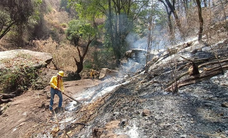 Controlan incendio en reserva de biosfera de Morelos