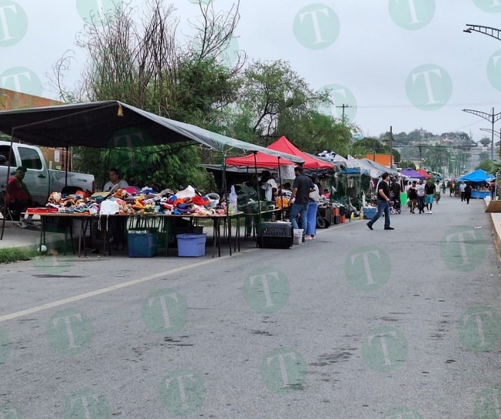 Calor da tregua a pulgas en Monclova; suben las ventas
