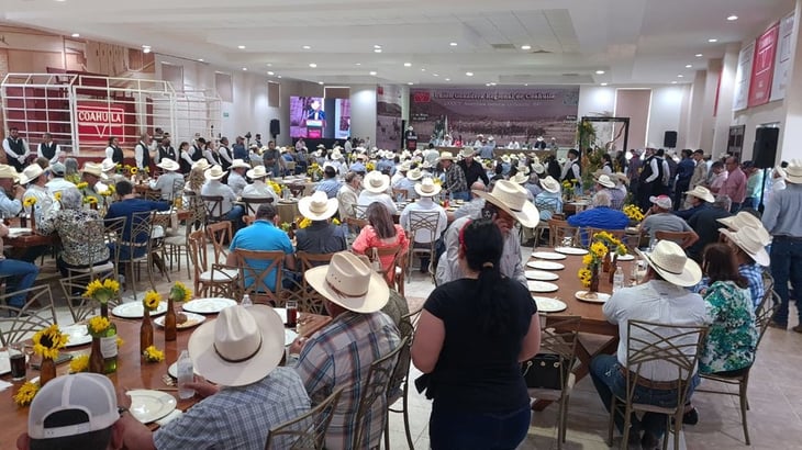 Unión Ganadera fija meta de 61 mil cabezas de ganado para exportación