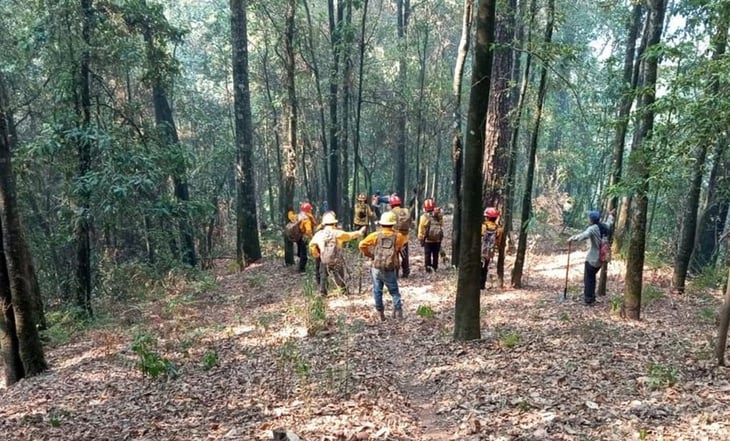 Incendios forestales dejan daños por 102 hectáreas en Morelos