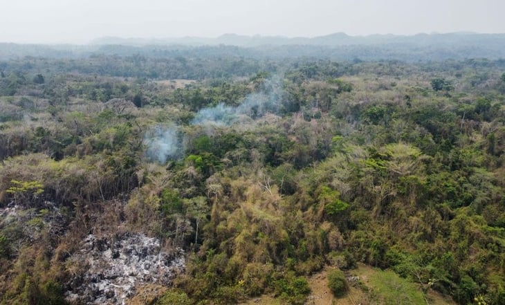 Autoridades atienden cuatro incendios forestales en distintas regiones de Veracruz