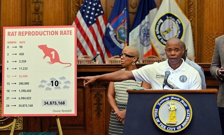 Nueva York convoca una 'cumbre nacional sobre ratas' en septiembre