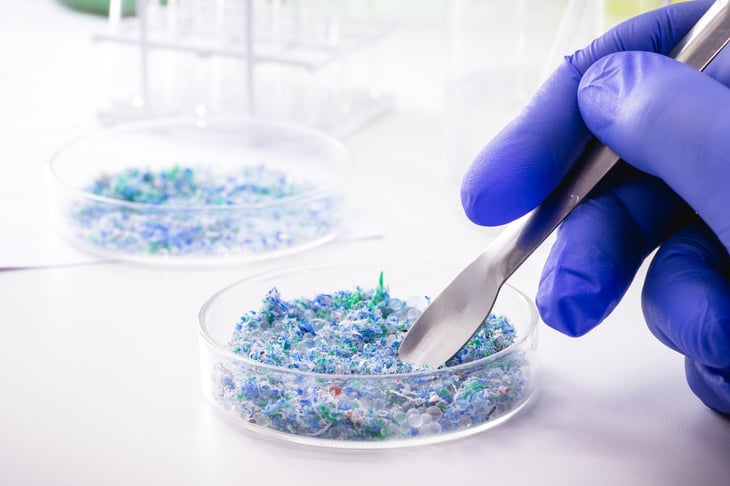 Estudio encuentra microplásticos en testículos de humanos y perros