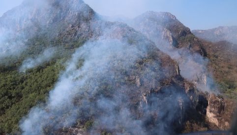 Se suman 154 brigadistas a combate de incendio en área natural protegida de Sinaloa