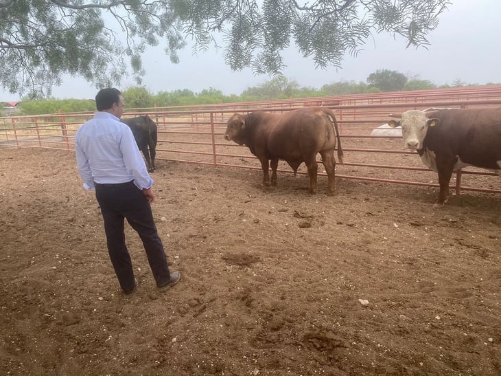 Gobernador constata calidad genética del ganado de Coahuila