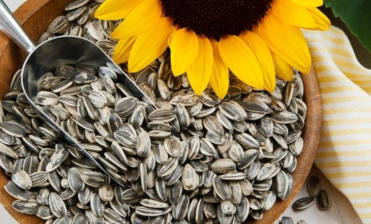 ¿Cuántas semillas de girasol debo consumir para aumentar el colágeno y proteger la tiroides?