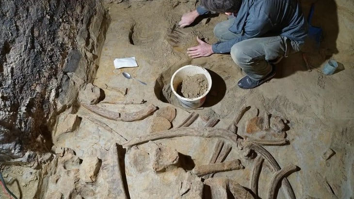 Tres esqueletos de mamut descubiertos en una bodega