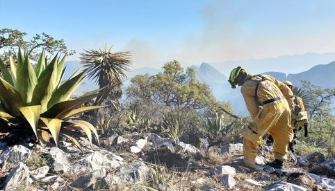 Sube a 830 hectáreas consumidas por tres incendios forestales en Nuevo León