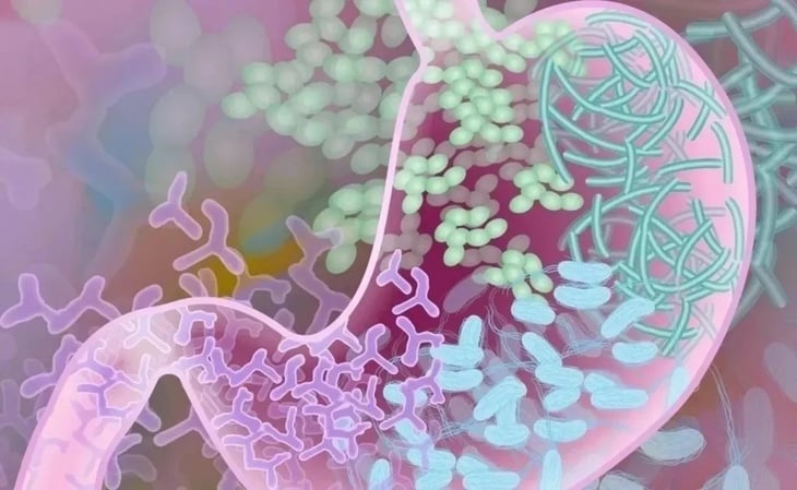 Llucha contra el Parkinson: hallan posible vínculo con la microbiota intestinal