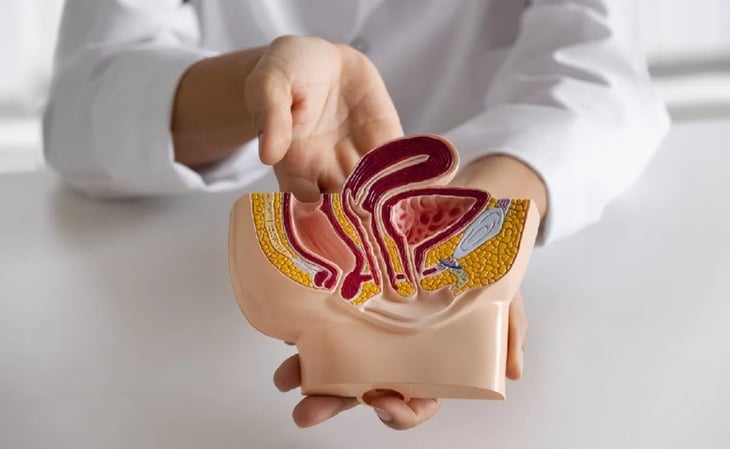 ¿Qué es y cómo tratar la uretritis? Una guía completa para entender esta afección