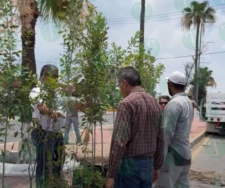 Forestación Municipal donó más de 50 árboles para los monclovenses 