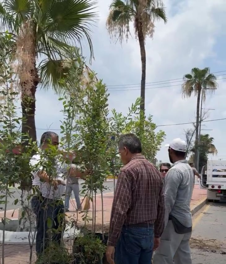 Forestación Municipal donó más de 50 árboles para los monclovenses 