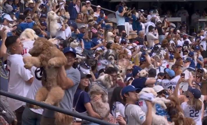 Dodgers reciben miles de perros en sus gradas