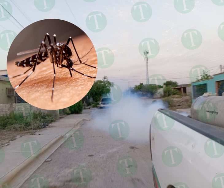 Fumigan contra dengue, zika y chikungunya