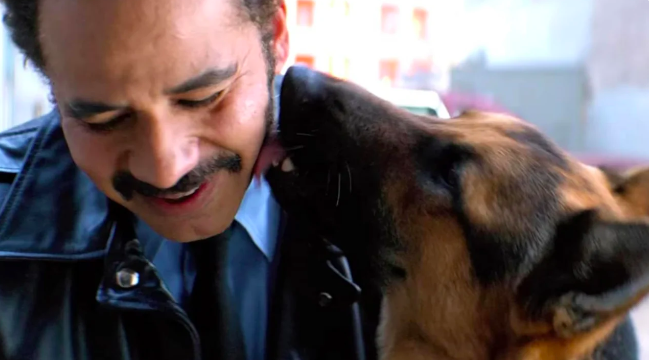 Amor en Netflix: Esta película con perritos te hará llorar aunque no lo quieras