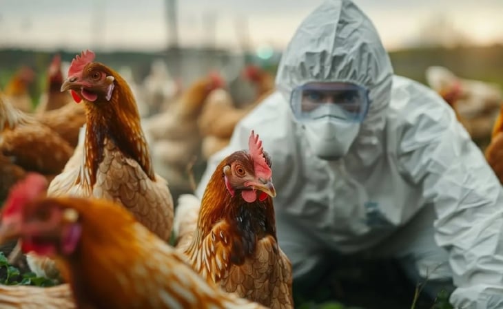 Secretaría de Salud descarta riesgo para la población ante detección de primer caso humano de gripe aviar