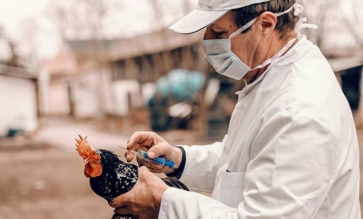 Dictamen de expertos determina que persona contagiada con gripe aviar no murió por el virus: Ssa