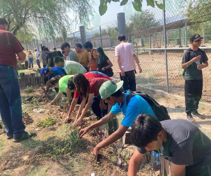 Proyecto 'Jardines para polinizadores' recibe apoyo de voluntarios