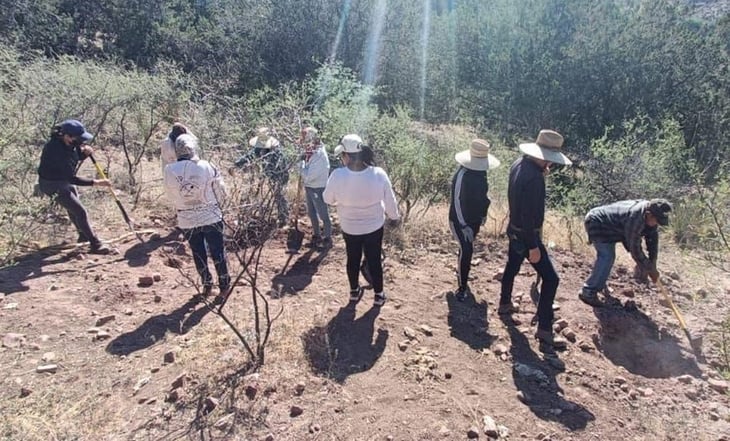 En los últimos 20 días, colectivo halla al menos 20 cuerpos en fosas clandestinas en Nogales, Sonora