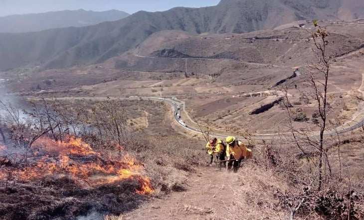Veracruz combate 15 incendios forestales